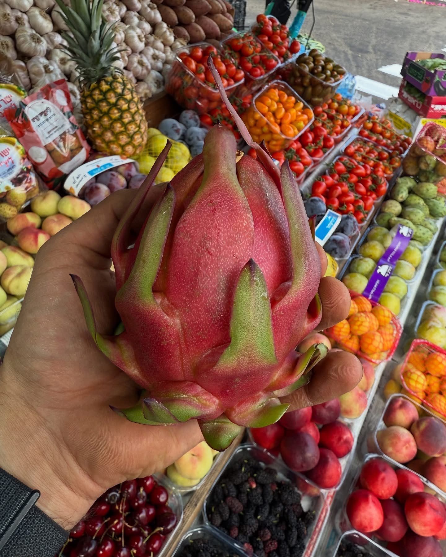الدلو للخضار والفواكه — 1