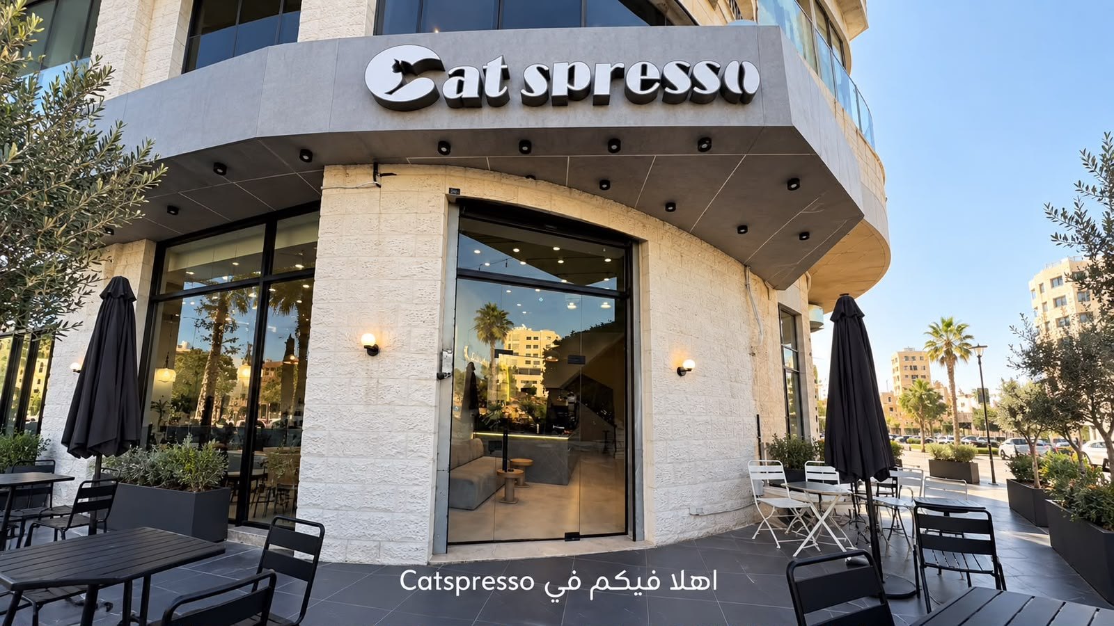 كات سبريسو كافيه