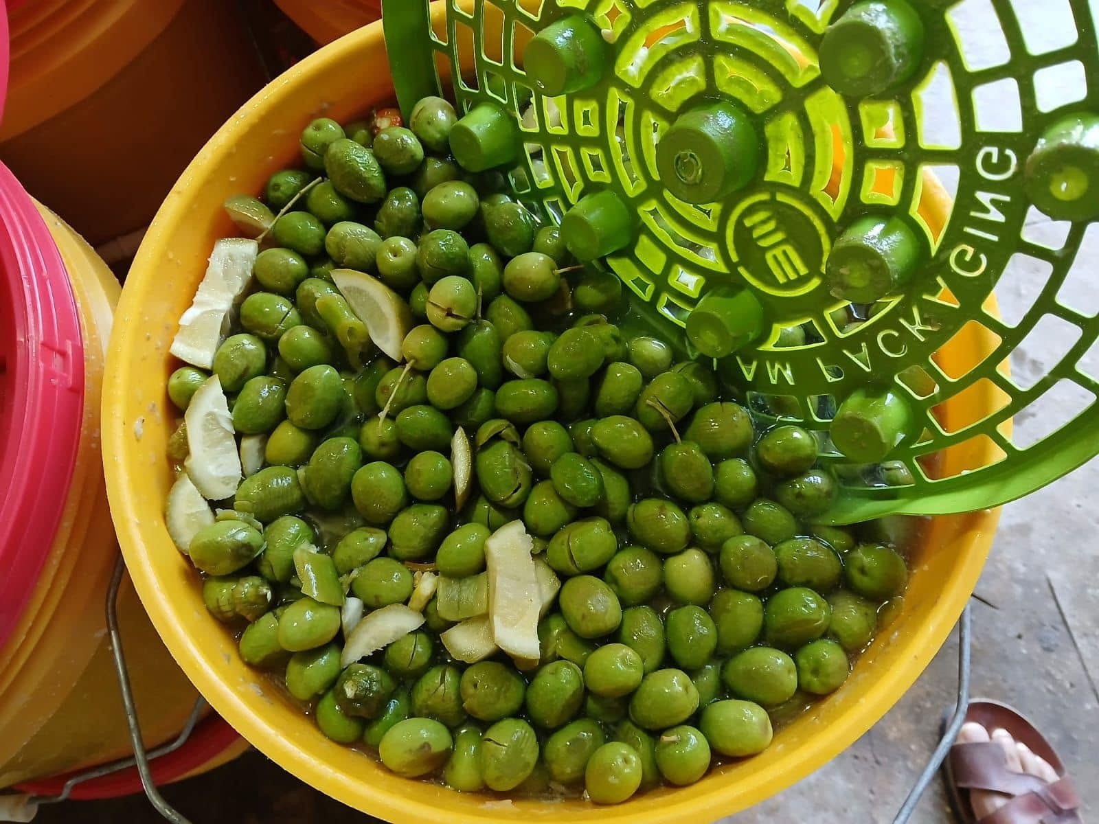معصرة الرنتيسي — 5