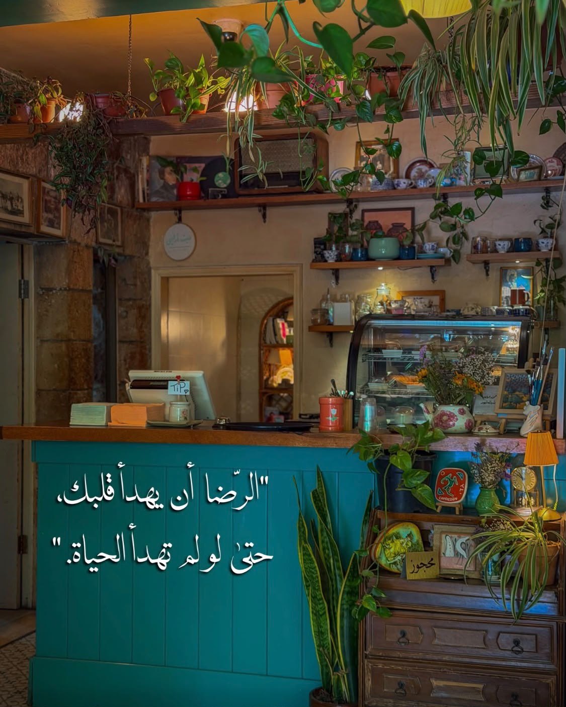 بيت أرضي — 2