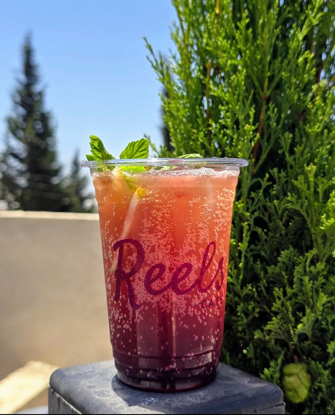 ريلز كافيه — 4