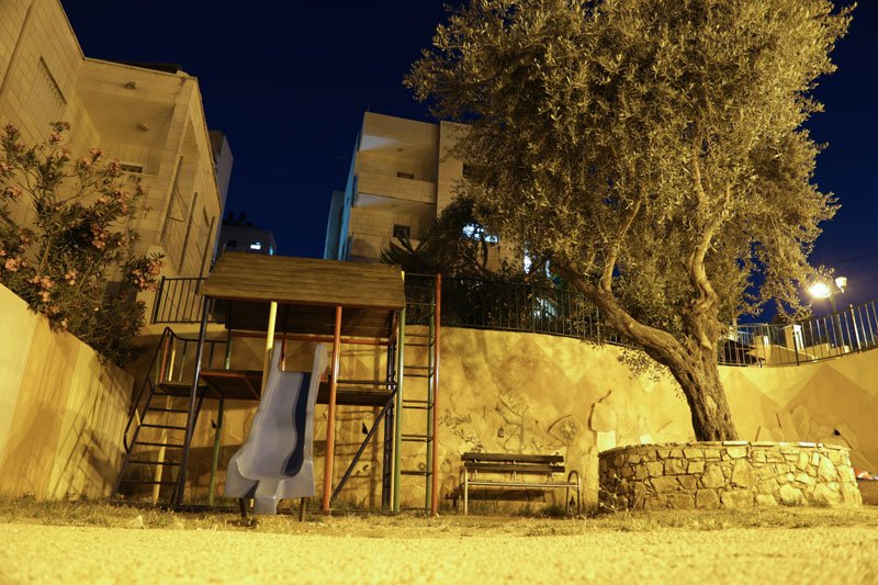 حديقة الزيتونة
